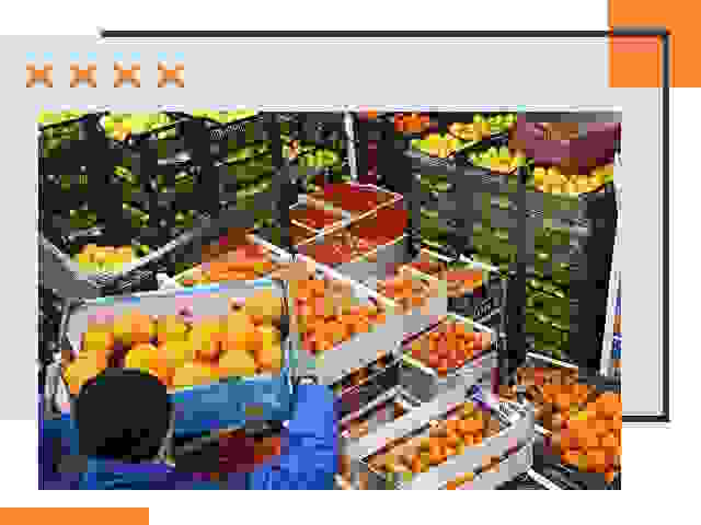 Перевозка скоропортящихся продуктов в Старом Осколе